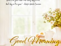 55 Best Good Morning Quotes cover