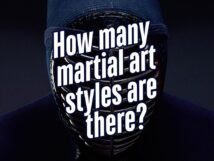 How many martial art styles are there