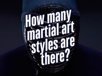 How many martial art styles are there