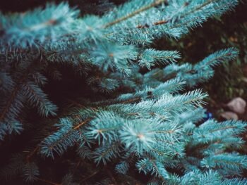 How long will it realistically take to lose 50 pounds? 3 {{brizy_dc_image_alt entityId=