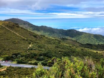 9 Steps to Opening a Gym: Accreditation, Licenses, Costs, and Hiring Staff 7 {{brizy_dc_image_alt entityId=