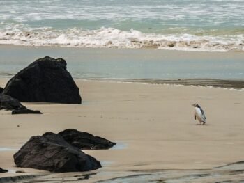 무술의 물리적 영향을 이해하는 펀치 뒤의 과학 2 {{brizy_dc_image_alt entityId=