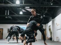 how many types of martial arts are there 3 scaled