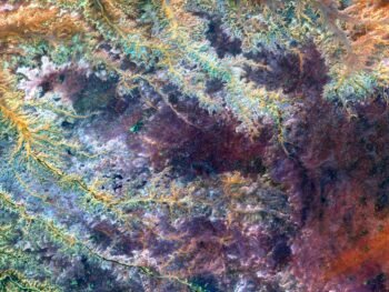 {{brizy_dc_image_alt entityId=